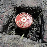 dina tost (@djtost) Twitter profile photo