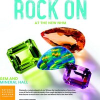 NHMLA_gems (@la_gems) 's Twitter Profile