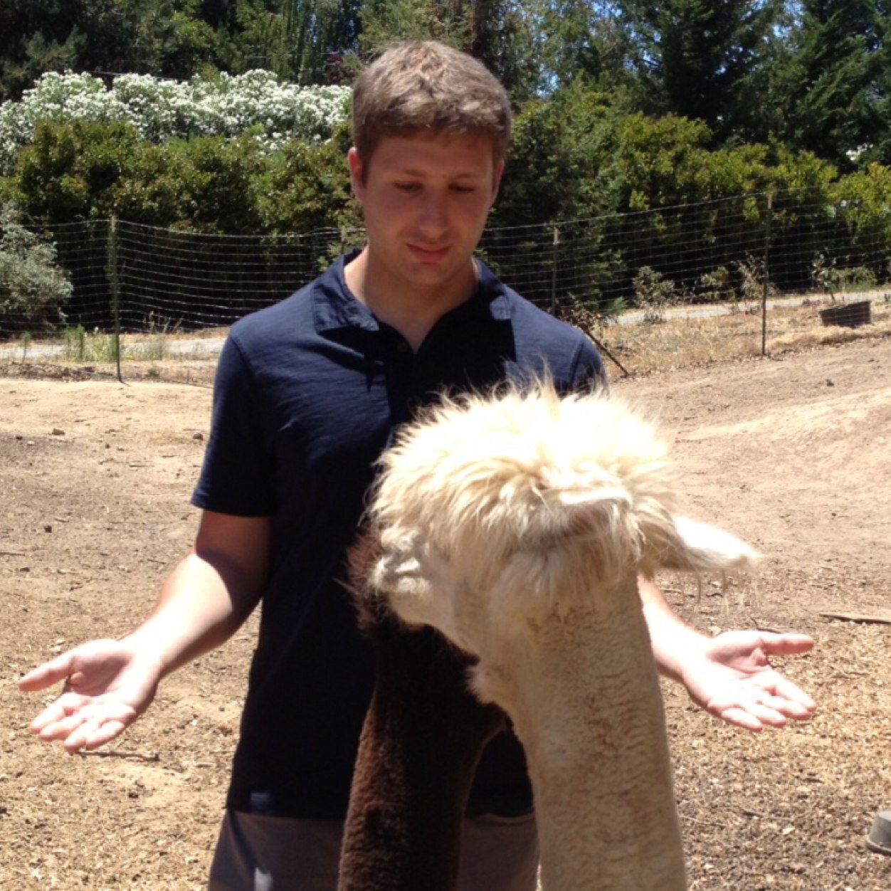 thenewyorkjeffs's profile picture. 