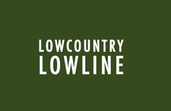 The mission of the Friends of the Lowcountry Lowline is to address, educate, and coordinate encouraging expanded greenspace on peninsular Charleston.