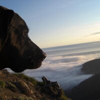 Brian W. Michel (@michelb247) 's Twitter Profile
