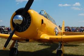 HarveyRabitto's profile picture. 