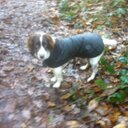 Ben Little - @benji2593 - Twitter