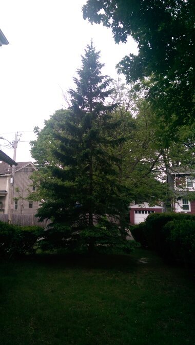 Siciliangirlfrd's profile picture. LMT, Reiki Master, Certified Crystal Healer, Advanced Crystal Master