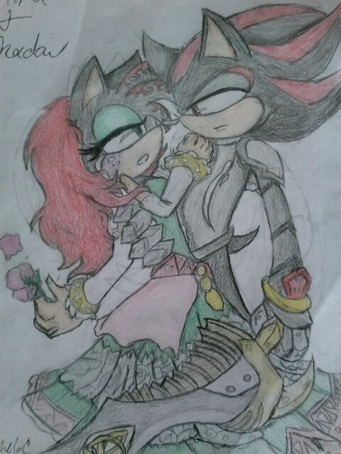 I'm a cute and sweet black female hedgehog, I work with team dark, determined and strong, nothing will stand in my way, I'm skilled with guns and blades