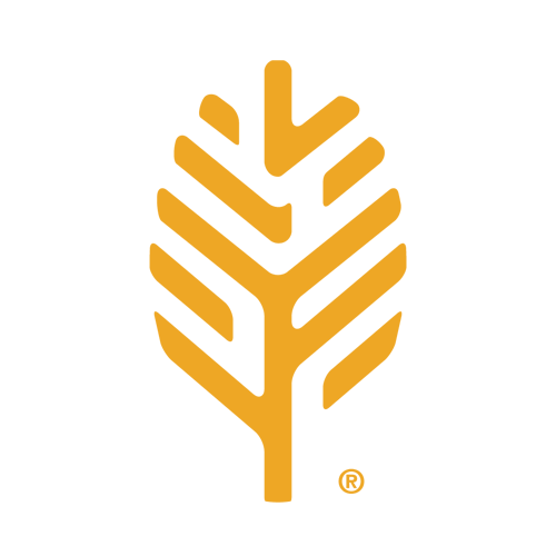 forestsprings's profile picture. A Year Round Christian Camp & Conference Center offering many options for families, youth, and individuals.