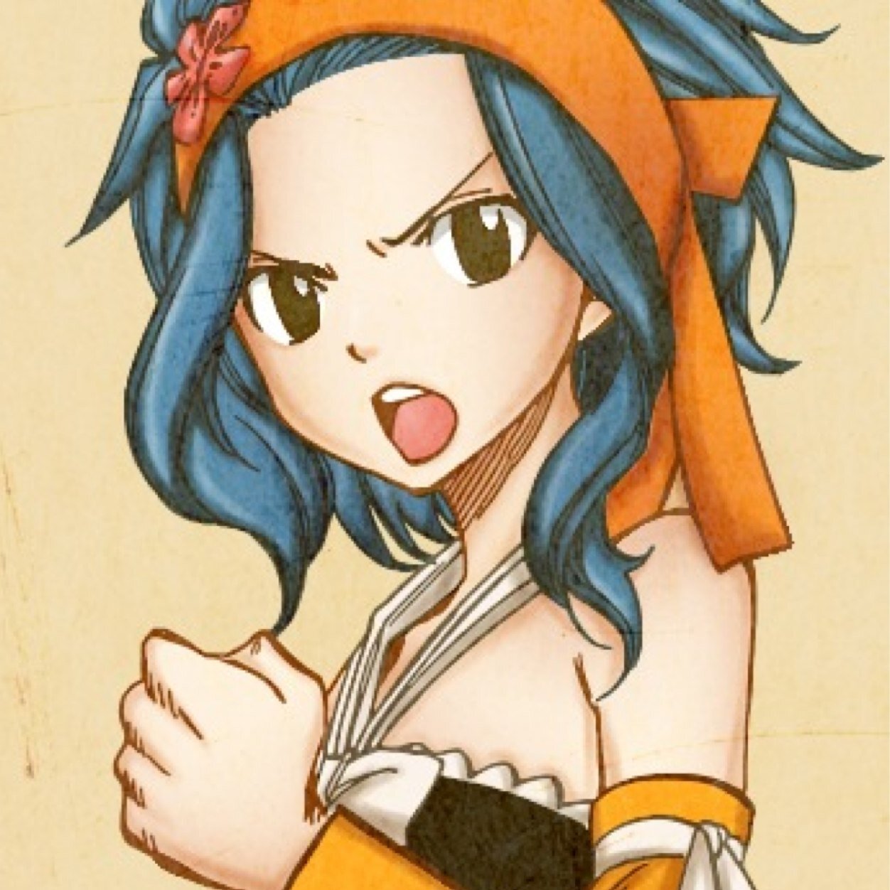 『17 year old mage of Fairy Tail』 『Shadow Gear Leader』『User of Solid Script magic』