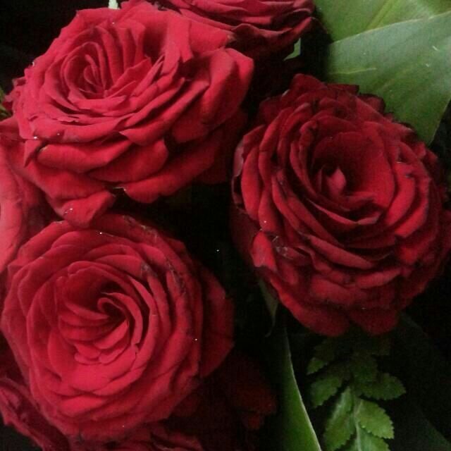 ‏تسألني من أنا اقول لك بنت يحيى وكفى..