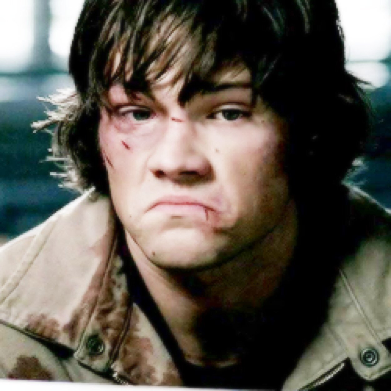 Okay, Im a moose and I hunt things. I have an older brother and I like long walks to the fridge.