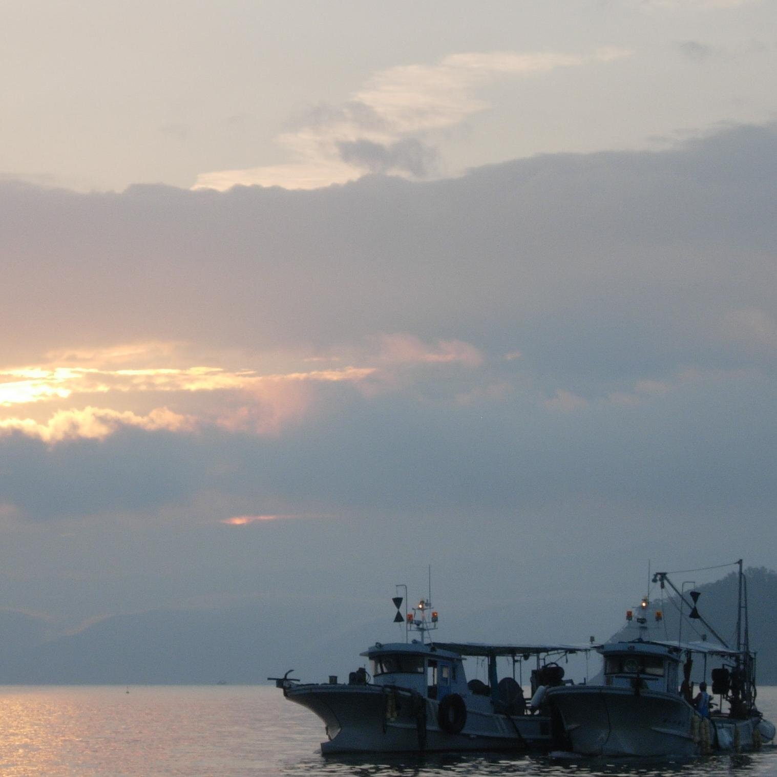 chirimen_iriko's profile picture. 熊本県上天草市の龍ヶ岳の海でちりめんじゃこと煮干の原材料カタクチイワシを獲り、自社で釜揚げし乾燥させ天草ちりめんじゃこ・天草いりこ（煮干）をメインに販売している北垣水産です。HPもありますので気軽に覗いてみてください。