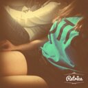 Ani Soto - @ani_soto - Twitter