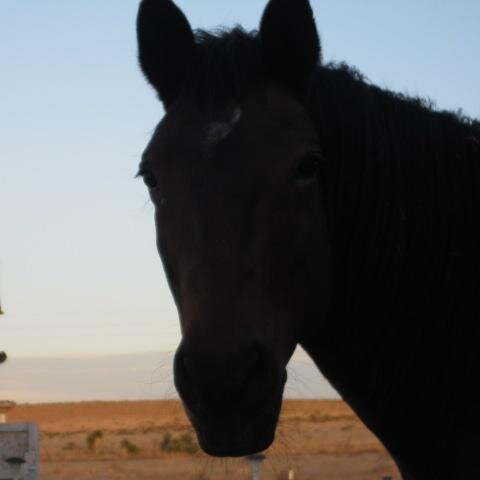 tednbren's profile picture. 