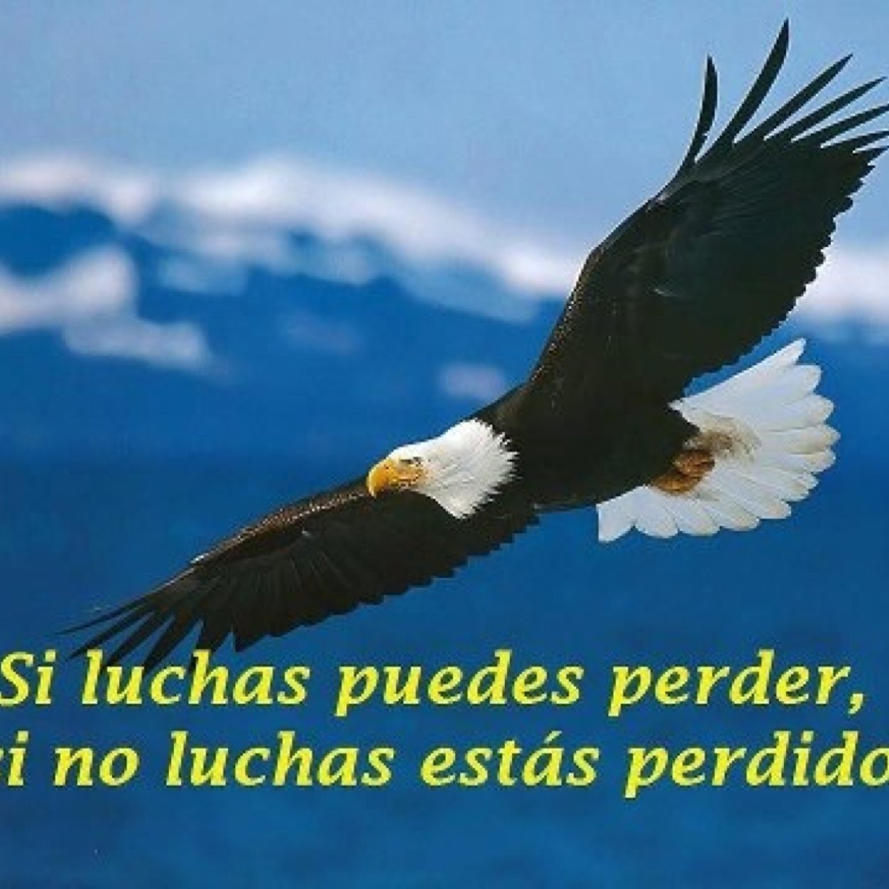 Soy AMariAn me encanta poderme comunicarwf con ustedes acerca de la conservacion de la Naturaleza y como menejarmos dentro de ella para un futuro sostenible