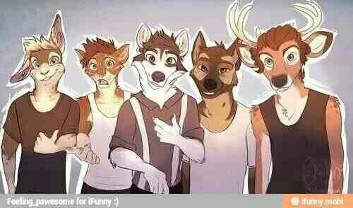 JOIN THE CREW AND BECOME A WOLF JOIN NOW