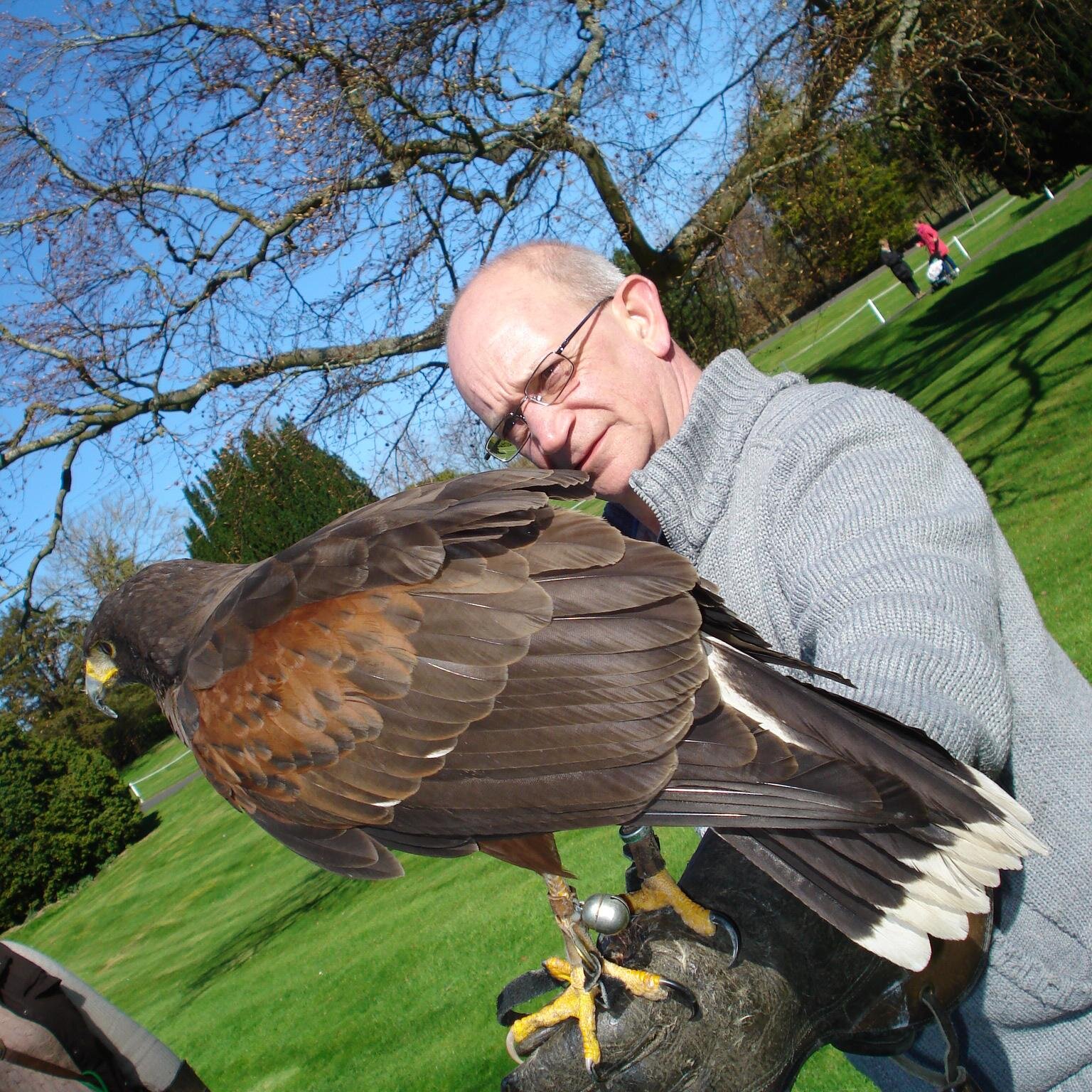 grayarchie99's profile picture. 