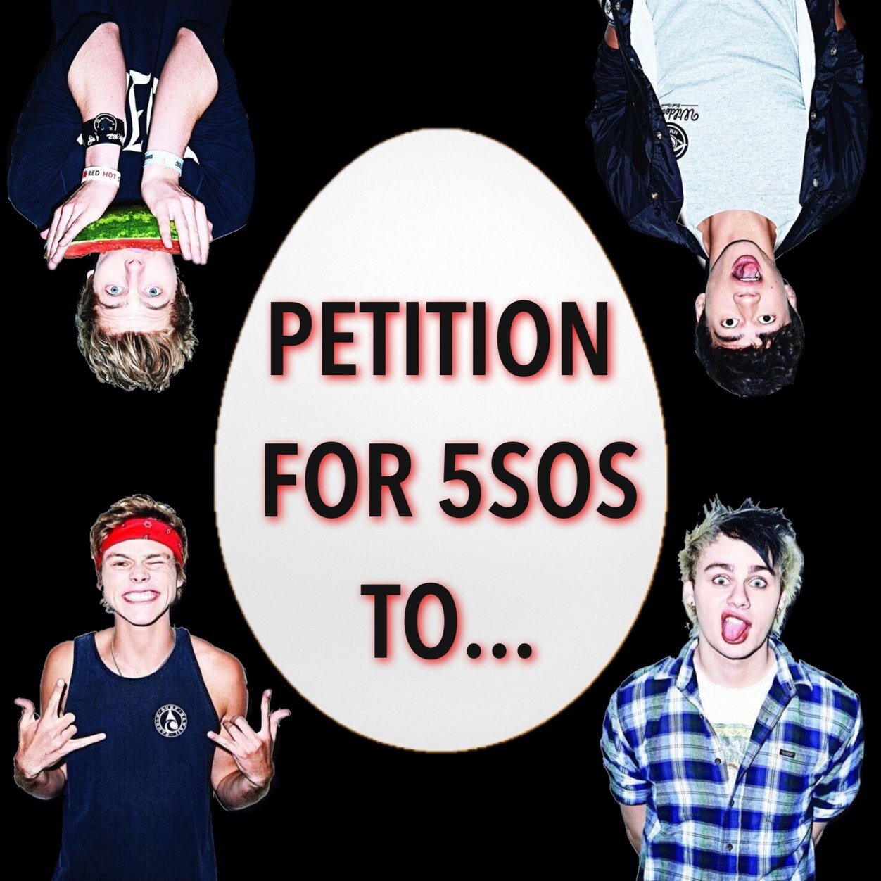 petitionfor5SOS's profile picture. 