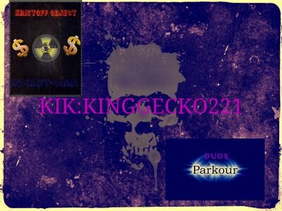 KINGGECKO221's profile picture. PLEASE 
SUB