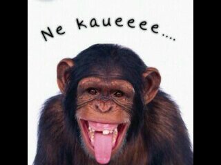 .. Cowok paling gammara di TL iriko pastii tohh ?? Mengaku mako waee klau mau tongko gammara kaya sayaa tohh ?? :-p :-D .