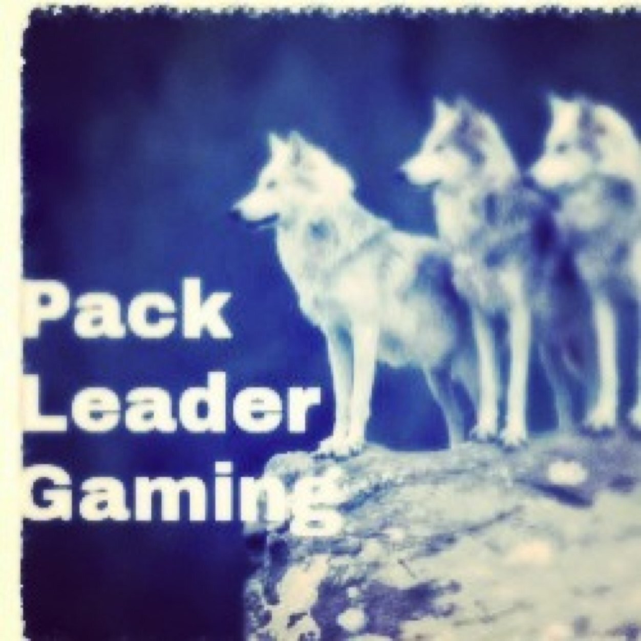 PlG115's profile picture. PLG Military is my channel CHECK IT OUT!