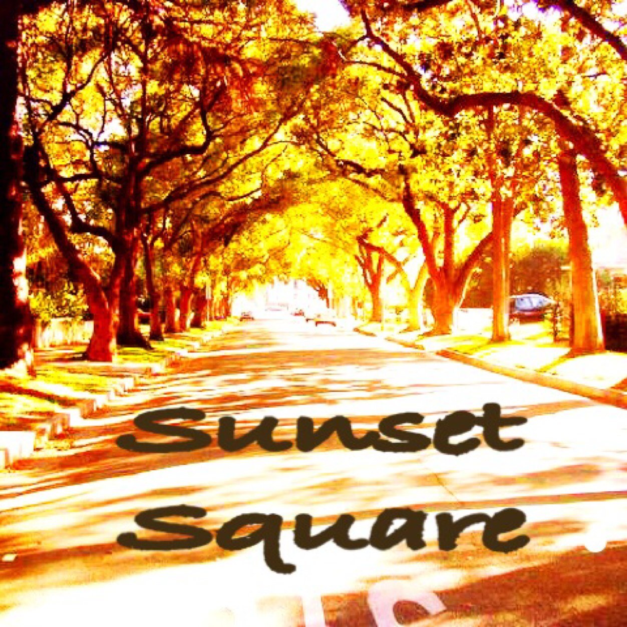 Sunset Square Hollywood Profile