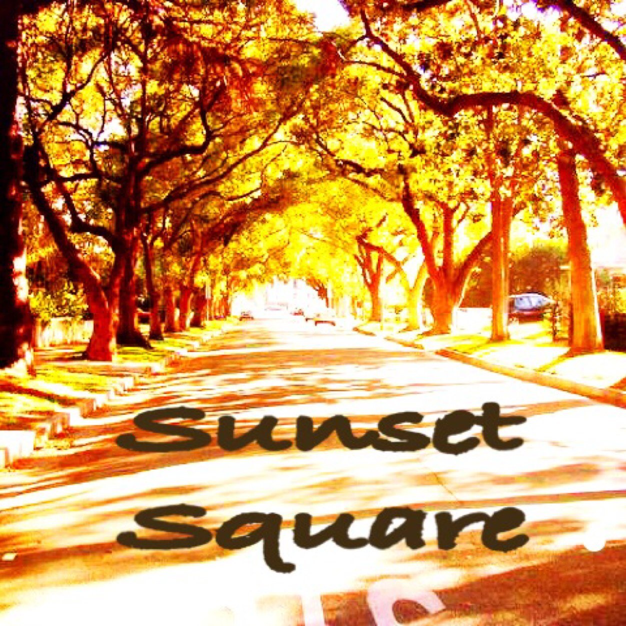 sunsetsquarehwd Profile Picture