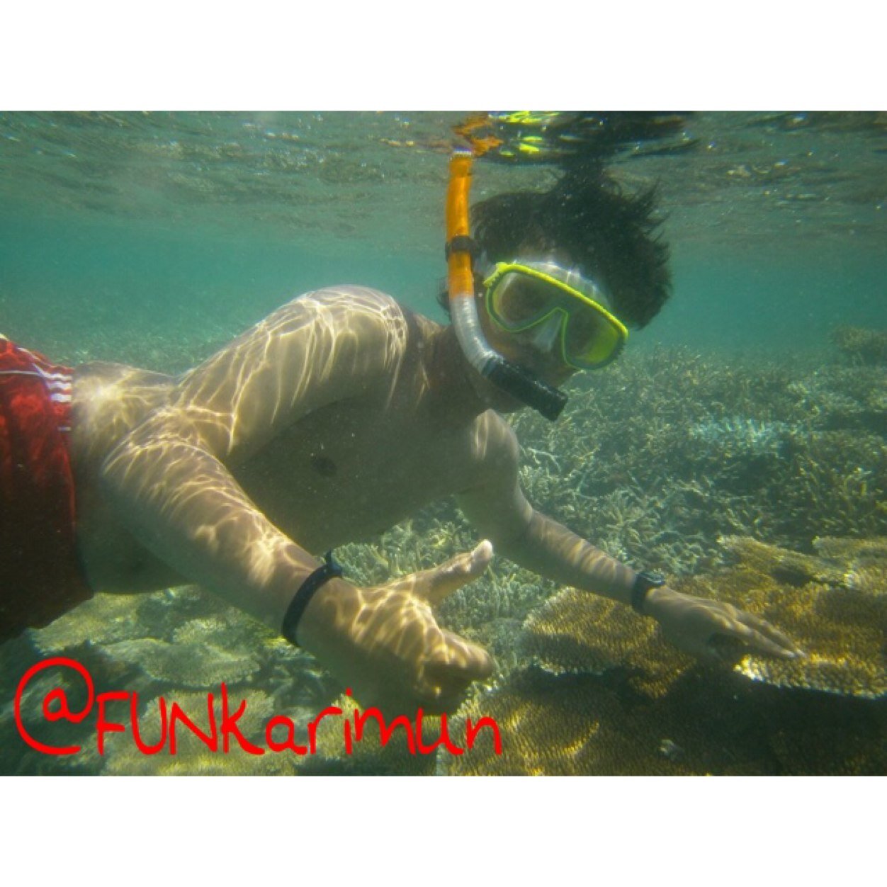 Paket murah travel ke karimunjawa ! 
More info Cp : 53E3CA19 | 083843513888 |