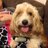ashar9444's profile image