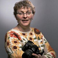 Sharon Grose (@sharon_grose) 's Twitter Profile