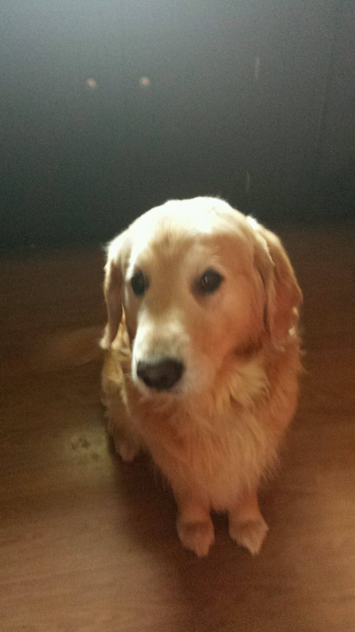 sum1frmpei's profile picture. 