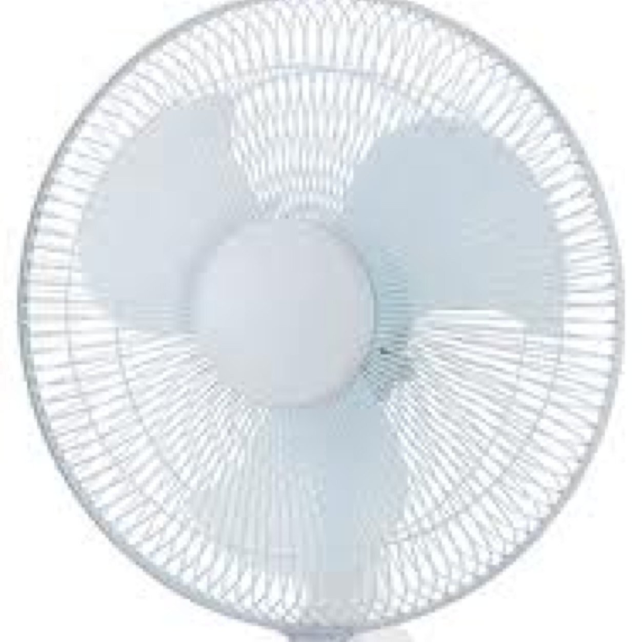 Number1fanFan's profile picture. 