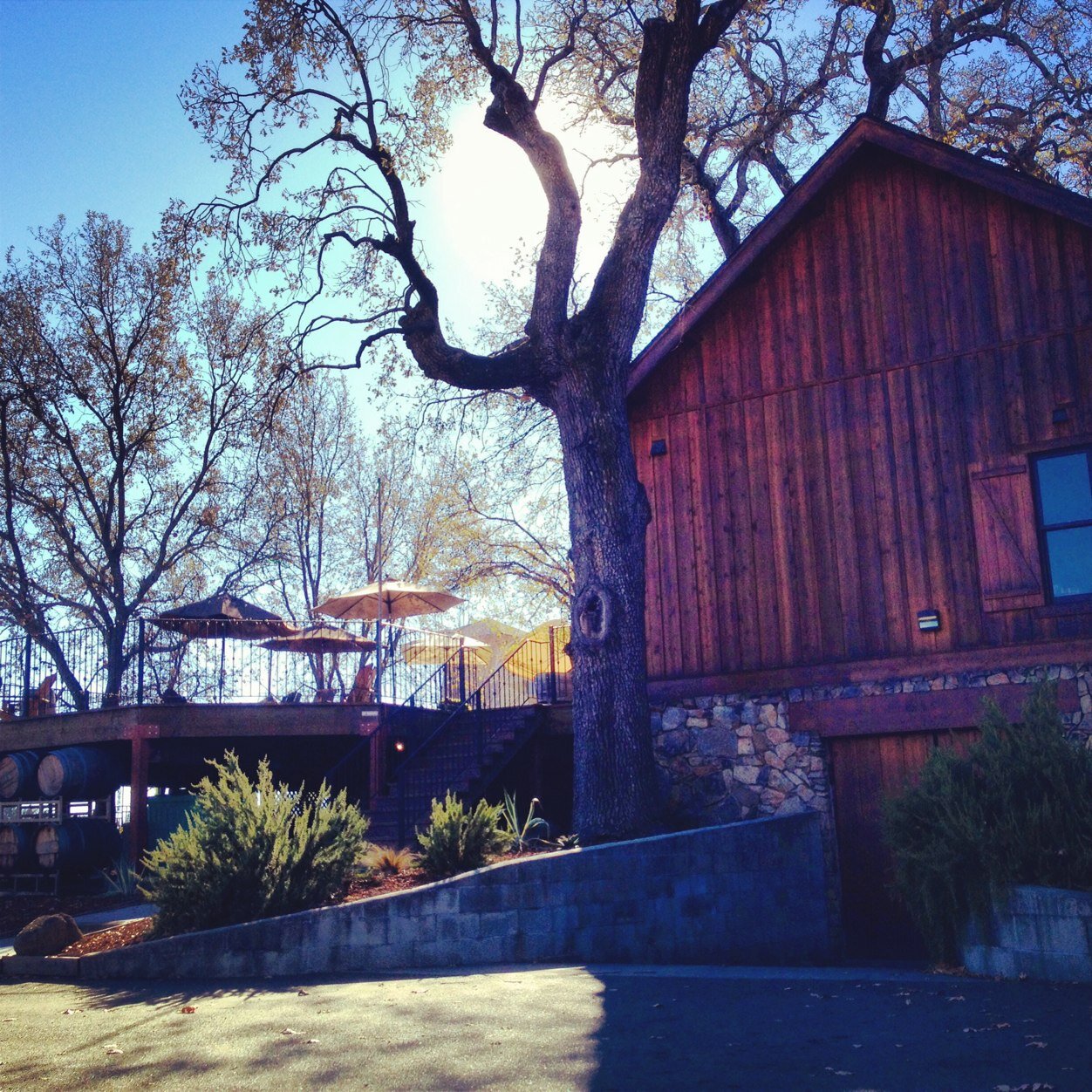 Oldest continuously owned and operated family vineyards in #NapaValley. Celebrating 156 years! Specializing in Petite Sirah! Come in for a taste of history...