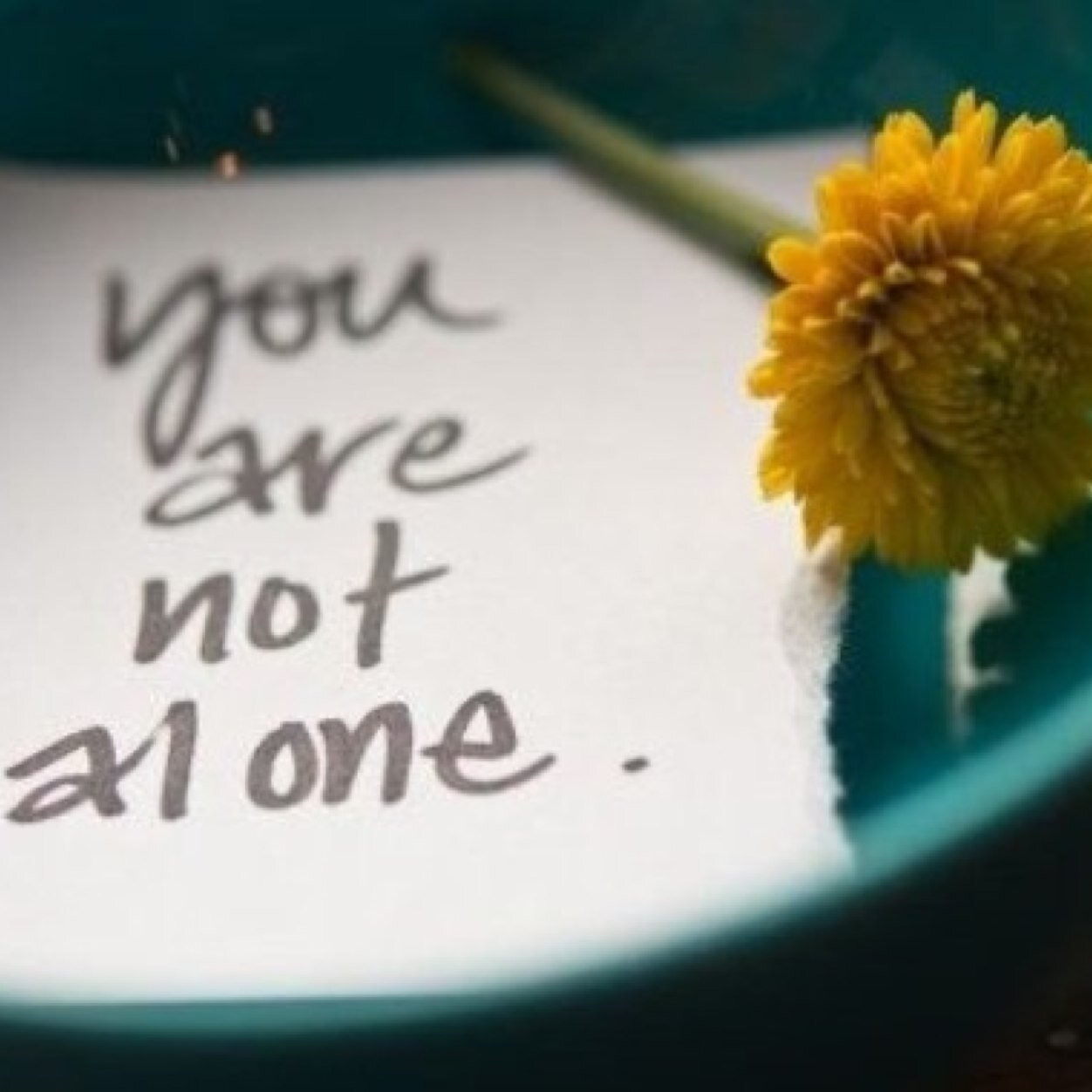 Don't let the circumstance you are in determine who you are, show that you will be you in every situation. 
Kik:emiryding. #projectLG #BuddyProject