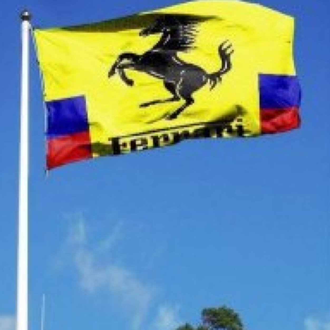 ferraricolombia's profile picture. Cuenta oficial de Ferrari y sus fanáticos en Colombia - Accounts official Ferrari Scuderia for Colombia. Administra: Prensa.