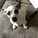 Isaac Nieves - @isaacna2012 - Twitter