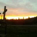 Lori Ayers - @LoriAyers13 - Twitter