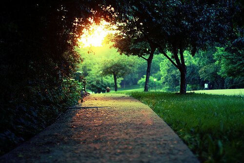 AyanaWhiting's profile picture. Finance Manager for SAE Financial & Housing Corp and owner of HeroBrain Productions. Millikin U Alum. Music, sports, food and travel enthusiast.