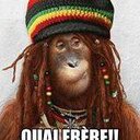 Ricky BEE - @bee_ricky - Twitter