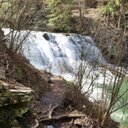 Tonja moore - @moore_tonja - Twitter