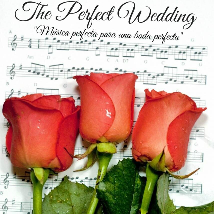 Música perfecta para una boda perfecta. The Perfect Wedding Gt