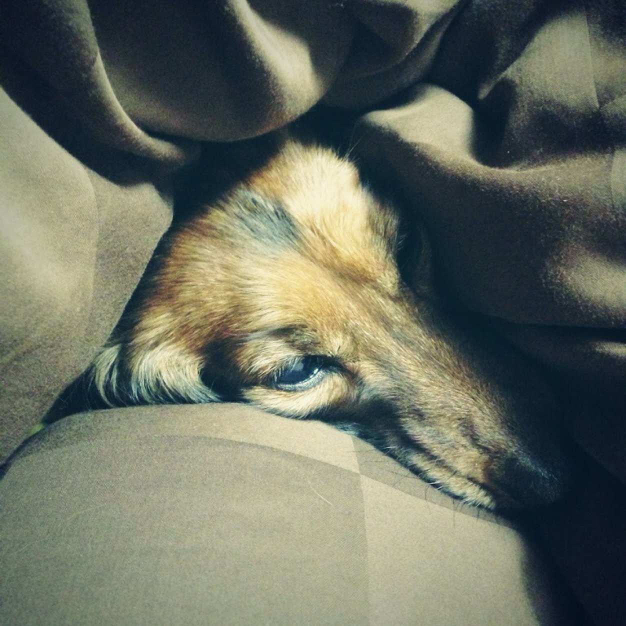 uslock's profile picture. 帰りたい