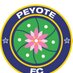 Peyote FC (@peyotefc) Twitter profile photo