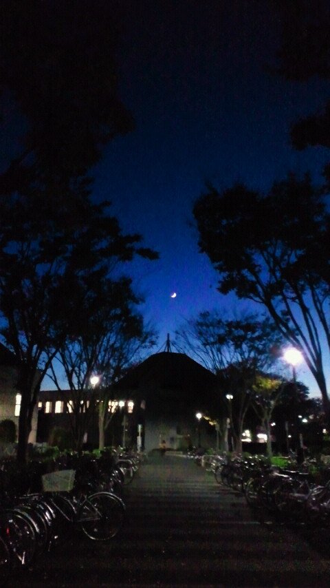 空鈴さんのプロフィール画像