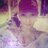IlianaGuerra's profile image