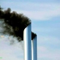 Arthanza L McGhee (@arthanzal) 's Twitter Profile