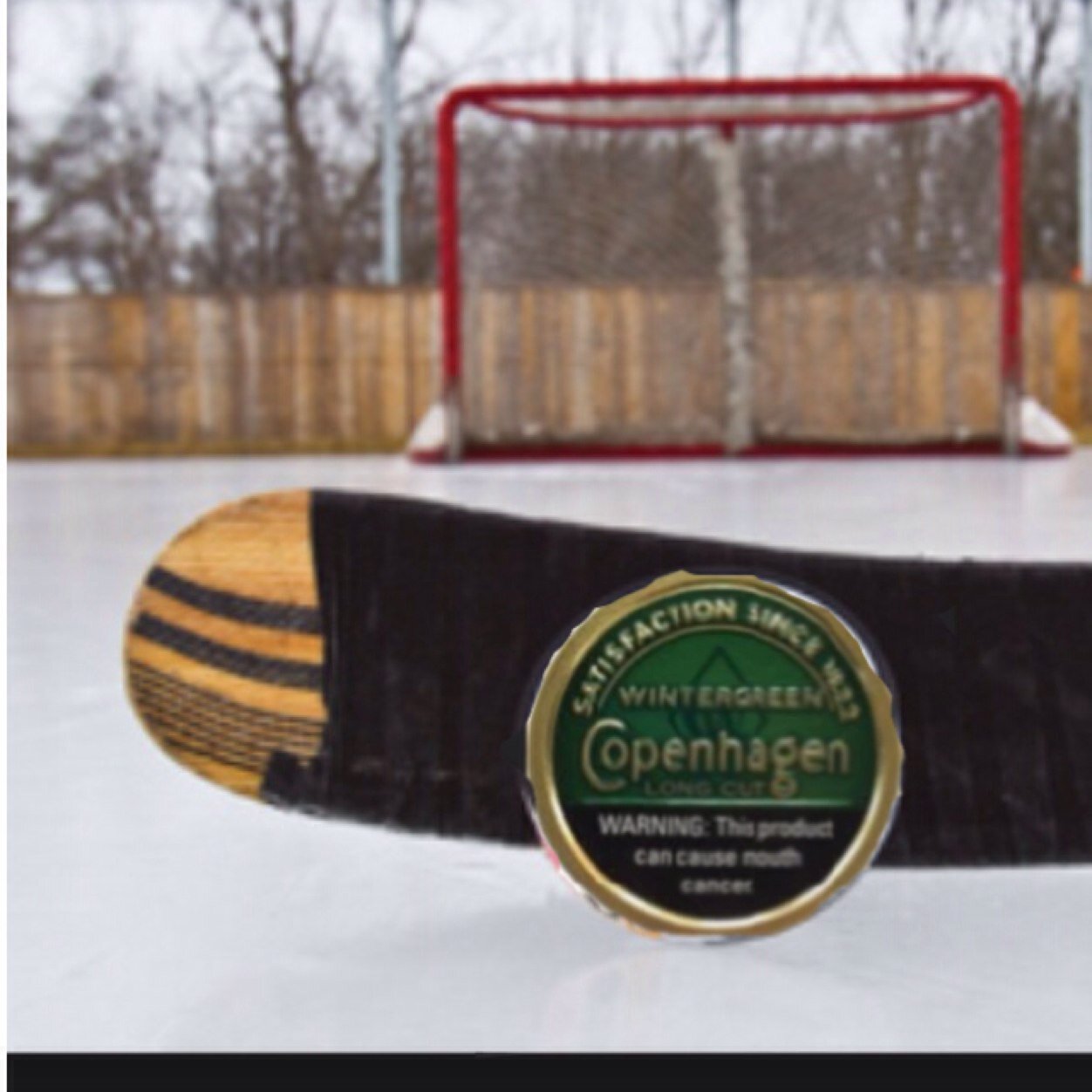 Every hockey player who dips, runs into many problems! Tweet us yours and we will RT them! #HDP | Formaly known as NHL15NEEDS