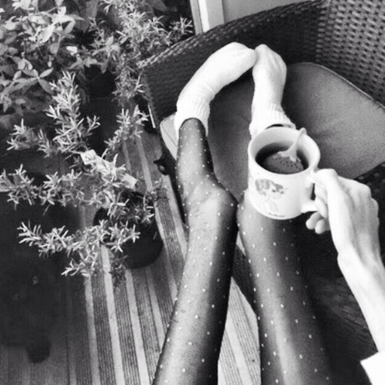 Myfitnesspal: petitefemme_x