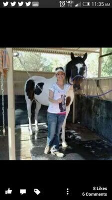 WCowgirl11's profile picture. My life is dedicated to therapy riding