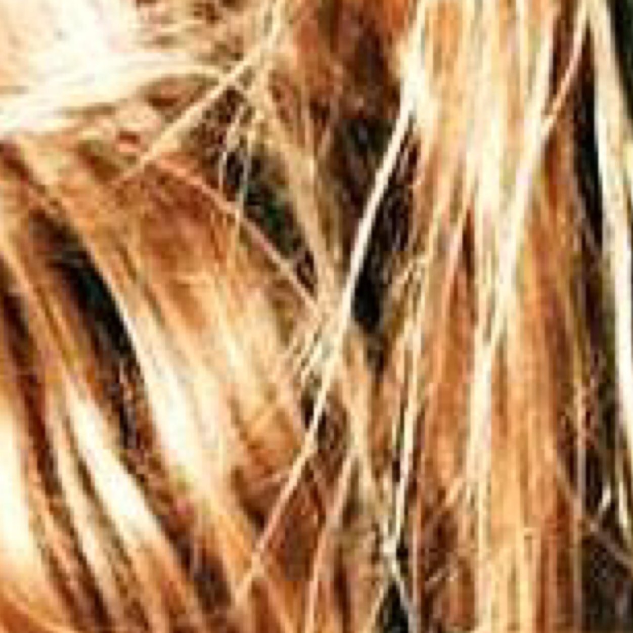 mybfisgreat's profile picture. 