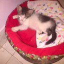 kevin casanova - @ketrovincen - Twitter