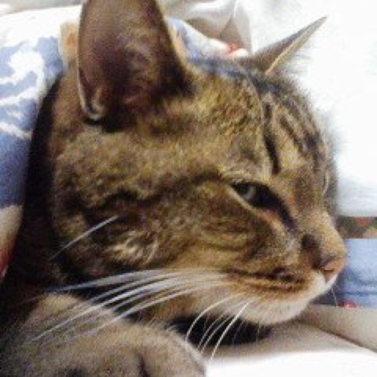 isakayuko826's profile picture. 